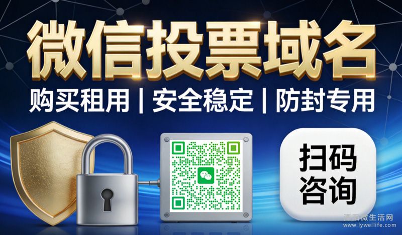 ͶƱר�÷�������